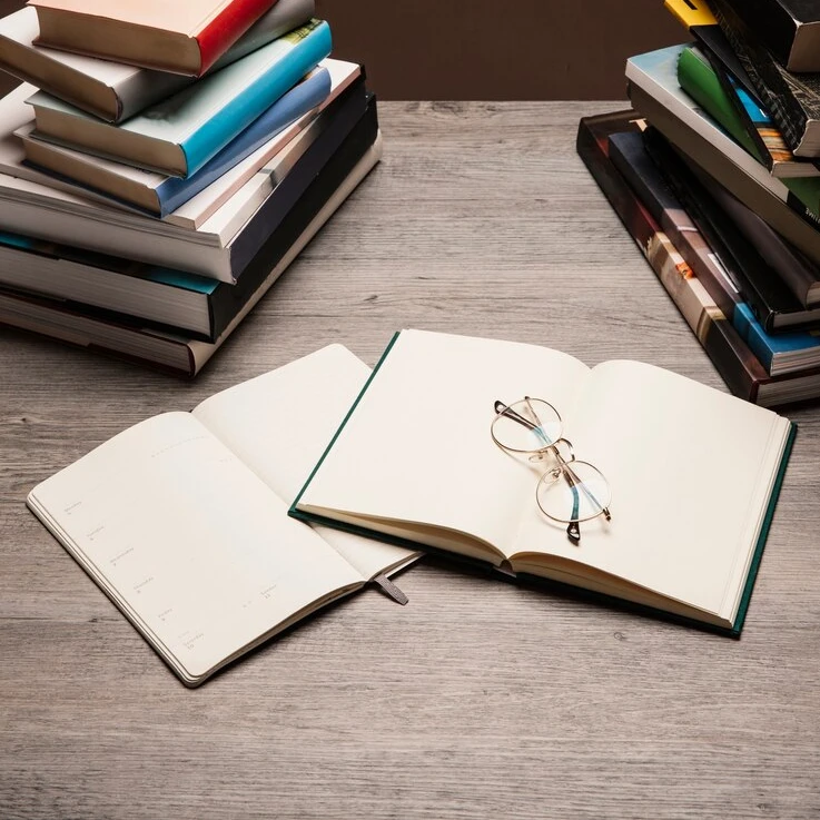 Paket Mix cangkang kerang / cangkang kerang / kerajinan tangan - Image 2