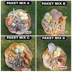 Paket Mix cangkang kerang / cangkang kerang / kerajinan tangan