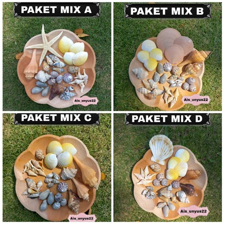 Paket Mix cangkang kerang / cangkang kerang / kerajinan tangan