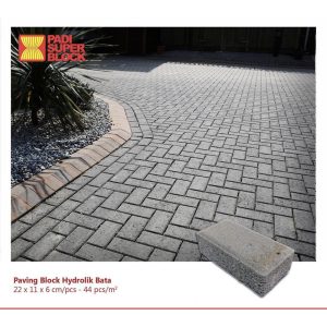 Paving Block Hidrolic